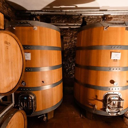 Cadgal - Tenuta La Cova Calamandrana Exteriör bild